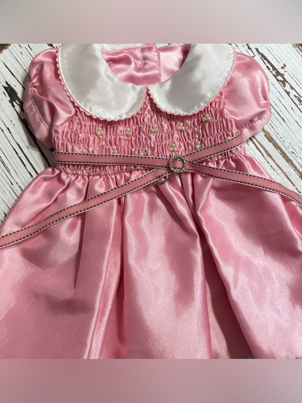 Pink Satin Pet Dress with White Peter Pan Collar
Medium
